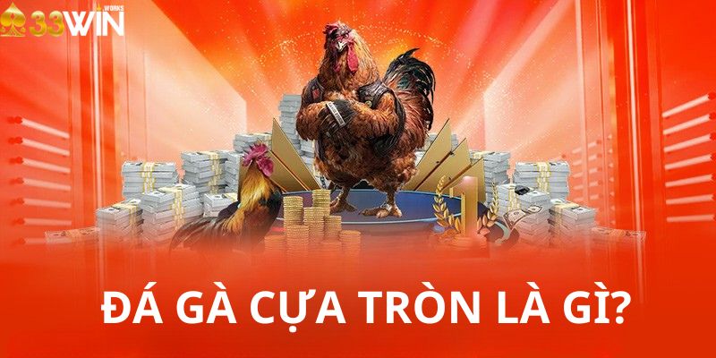 Đá gà cựa tròn là gì? Khác gì so với cựa dao?